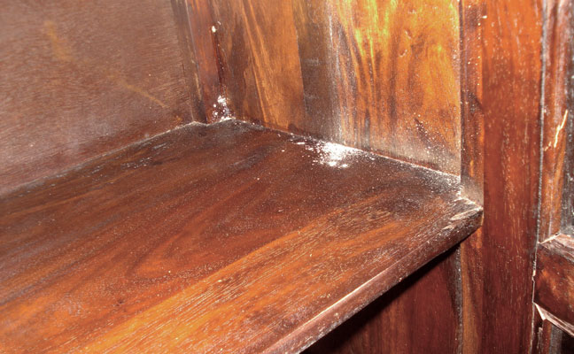 This hutch is infested with true powderpost beetles (Lyctus spp), as noted by the frass. Photo: DR. MOHAMMED EL DAMIR, BCE