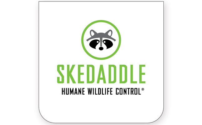 LOGO: SKEDADDLE HUMANE WILDLIFE CONTROL