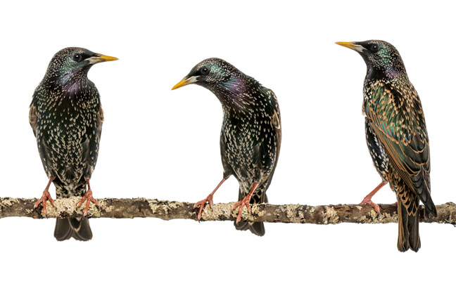 PHOTO: GLOBALP / ISTOCK / GETTY IMAGES PLUS / GETTY IMAGES