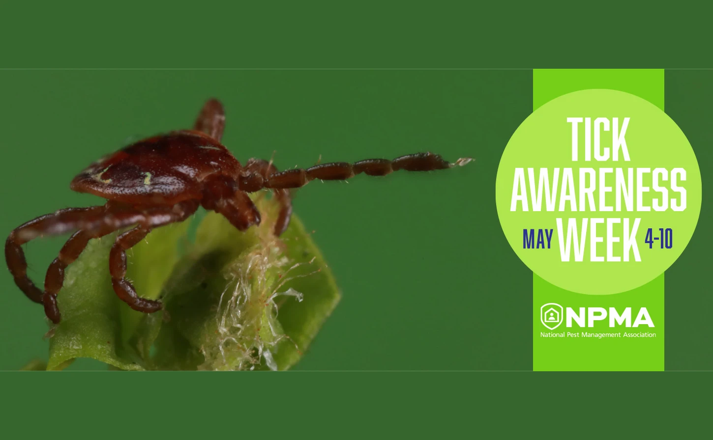 GRAPHIC COURTESY OF PPMA