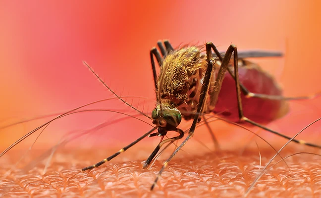 PHOTO: DIGITAL IMAGE STUDIO/SHUTTERSTOCK. COM