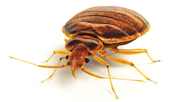 Photo: animatedfunk/E+/Getty Images