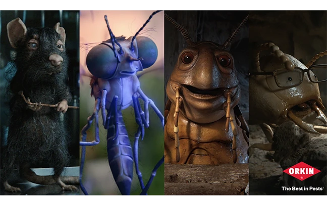 PHOTO COURTESY OF ORKIN