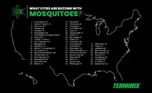 GRAPHIC: TERMINIX