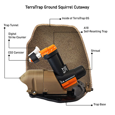 IMAGE: THE AUTOMATIC TRAP CO.