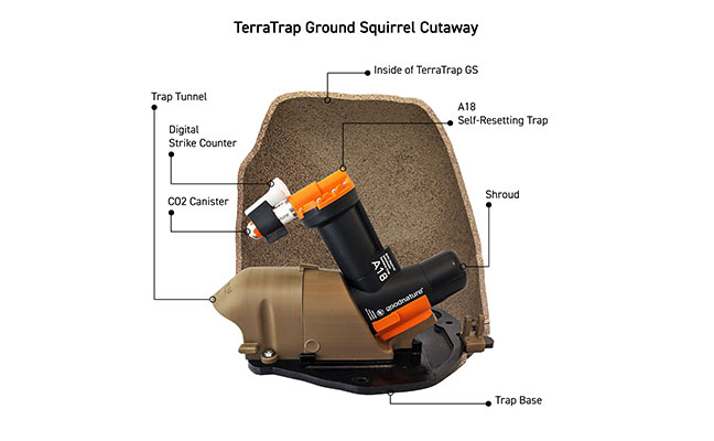 IMAGE: THE AUTOMATIC TRAP CO.