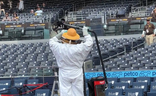Truly Nolen's Kenny Hamilton was able to remove the swarm of bees, helping to avoid any delay to the game.
