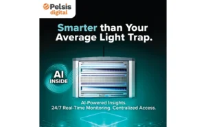 Pelsis graphic for Digital Halo