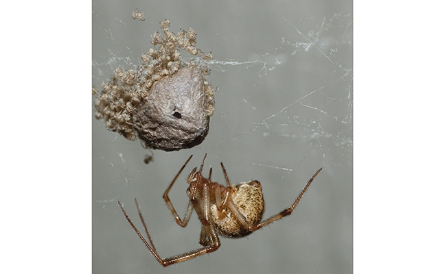 PHOTO: © GENE WHITE