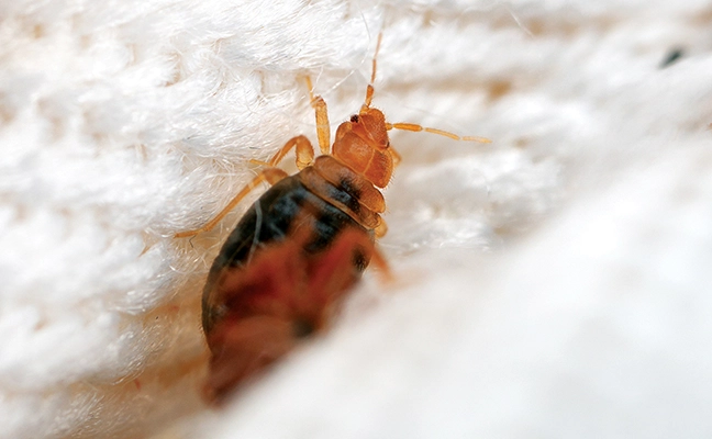 PHOTO: DZURAG / ISTOCK / GETTY IMAGES PLUS / GETTY IMAGES