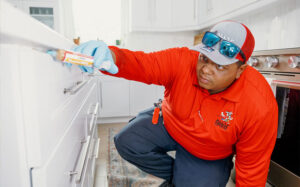 All U Need Pest Control