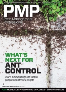 PHOTO: JOCKERMAX / ISTOCK / GETTY IMAGES PLUS / GETTY IMAGES