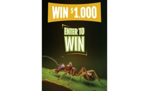 Veseris graphic for 0825 giveaway campaign