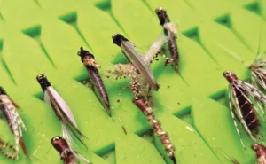 Artificial Fly Lures