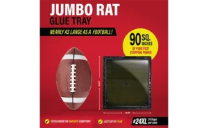 graphic comparing Jumbo tray to football