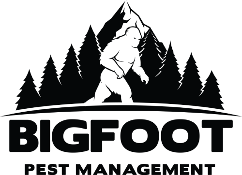 LOGO: BIGFOOT PEST MANAGEMENT