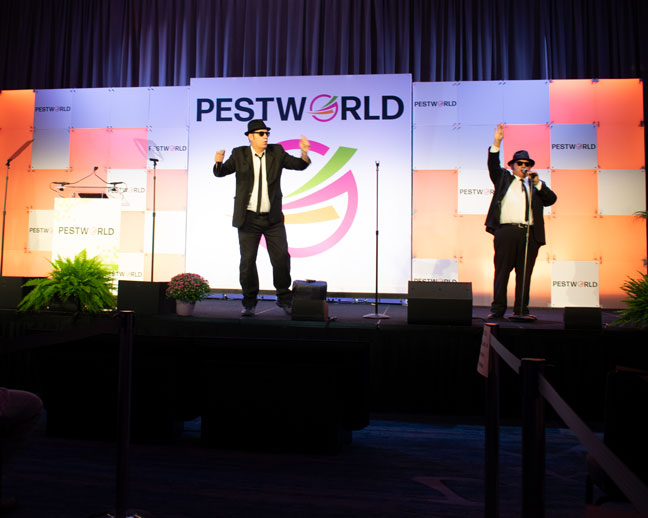 Jake & Elwood Blues Brothers Review