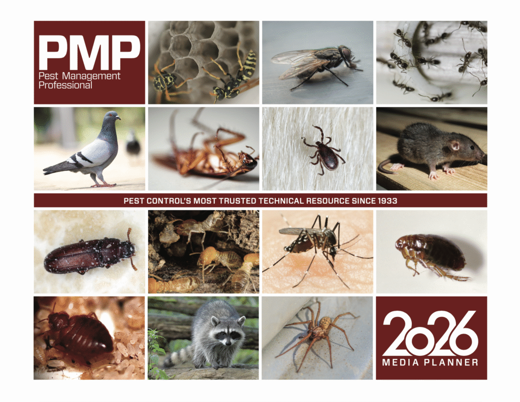 IMAGE: PMP MEDIA KIT COVER
