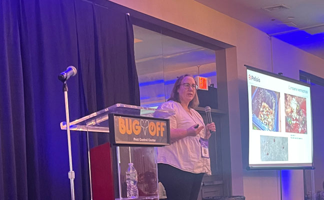 Anna Iversen, BCE, from Pelsis spoke in an educational lecture about what technicians need to know about flies before even treating them. She dove into the biology and social hierarchy of flies. IMAGE: PMP STAFF