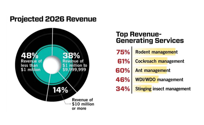 PMP Revenue Infographic IMAGE: PMP STAFF