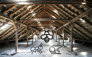 Photo by Sebastian Herrmann on Unsplash