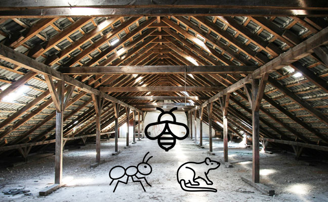 Photo by Sebastian Herrmann on Unsplash