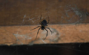 IMAGE: Alexandra Stam, Unsplash