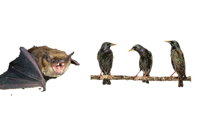 PHOTO: GLOBALP / ISTOCK / GETTY IMAGES PLUS / GETTY IMAGES Photo: ©istock.com/ivkuzmin