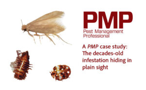 IMAGE: PMP STAFF