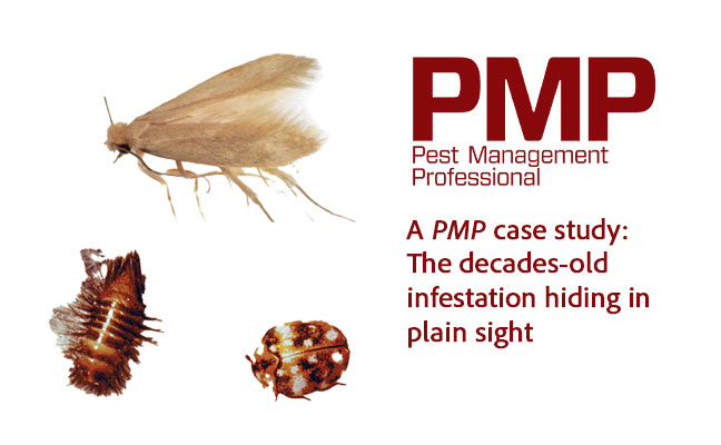 IMAGE: PMP STAFF