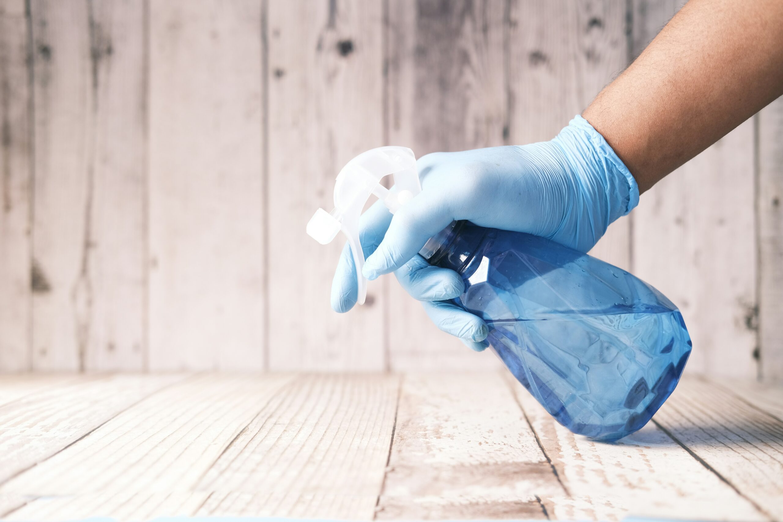 Does cleaning near bait stations impact effectiveness? IMAGE: Unsplash / Towfiqu barbhuiya