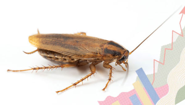 PHOTO: © Gene White + MIAKIEVY/DIGITALVISION VECTORS/GETTY IMAGES