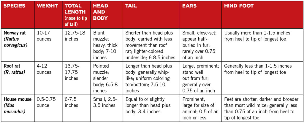 Table 1. Key characteristics of common commensal rodents