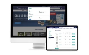 screenshots of Veseris dot com