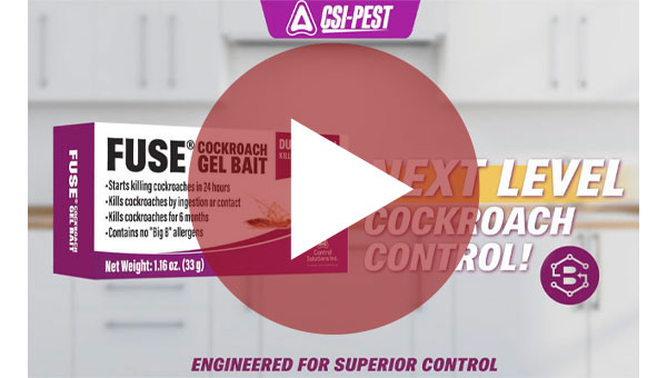IMAGE: CSI FUSE Cockroach Gel Bait
