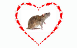 PHOTO: МИХАИЛ СОКОЛОВ/ISTOCK / GETTY IMAGES PLUS/GETTY IMAGES + GLOBALP / ISTOCK / GETTY IMAGES PLUS / GETTY IMAGES