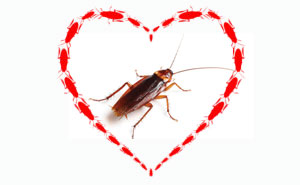 PHOTO: МИХАИЛ СОКОЛОВ/ISTOCK / GETTY IMAGES PLUS/GETTY IMAGES + Antagain/iStock / Getty Images Plus/Getty Images