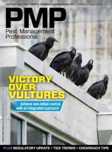 Bird Supplement 2026
