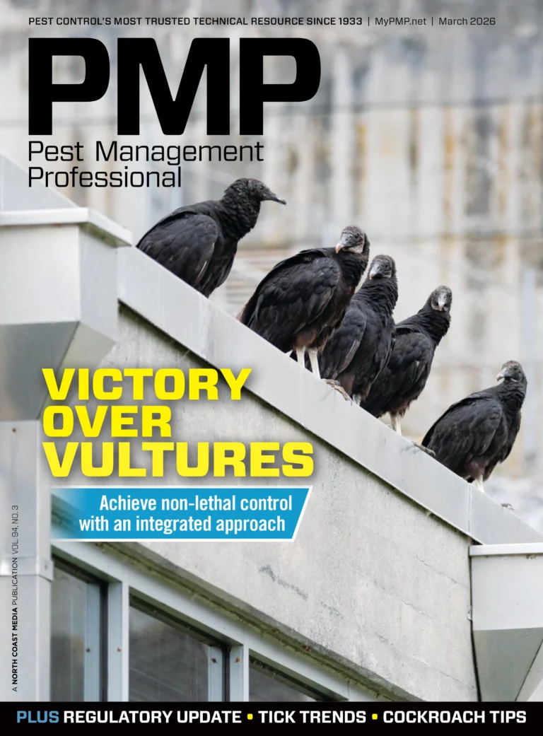 Bird Supplement 2026