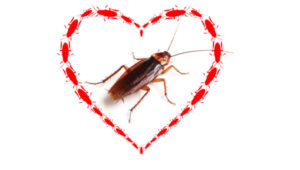 PHOTO: МИХАИЛ СОКОЛОВ/ISTOCK / GETTY IMAGES PLUS/GETTY IMAGES + Antagain/iStock / Getty Images Plus/Getty Images