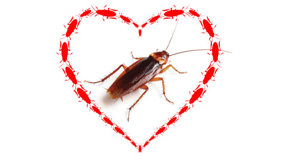 PHOTO: МИХАИЛ СОКОЛОВ/ISTOCK / GETTY IMAGES PLUS/GETTY IMAGES + Antagain/iStock / Getty Images Plus/Getty Images