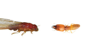 ©istock.com/hunur/defu + Photo: Dr. Gerald Wegner