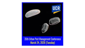 IMAGE: University of California, Riverside