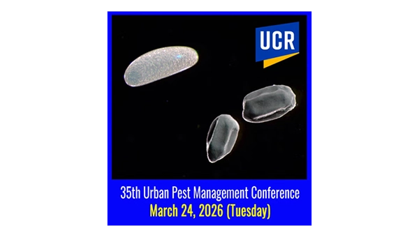 IMAGE: University of California, Riverside