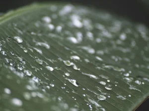 IMAGE: PEXELS / Connor Scott McManus