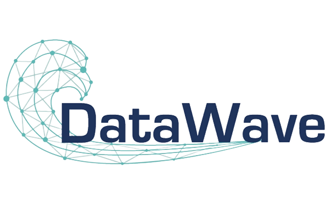 DataWave Logo