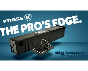 Graphic for Kness Big-E cover